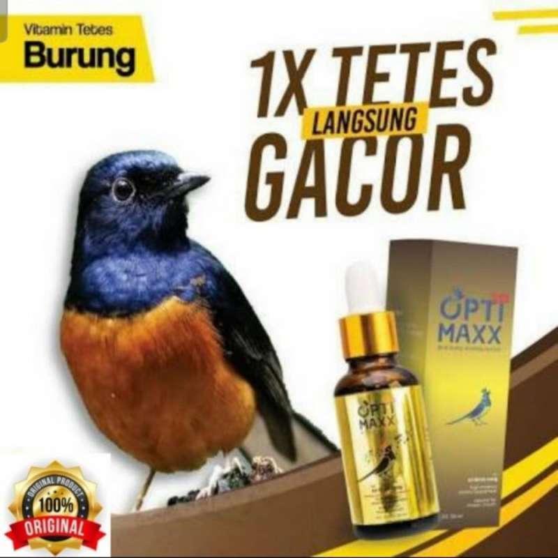 Agen Gacor Anti Rungkat - Solusi Terbaik Untuk Suara Burung Anda