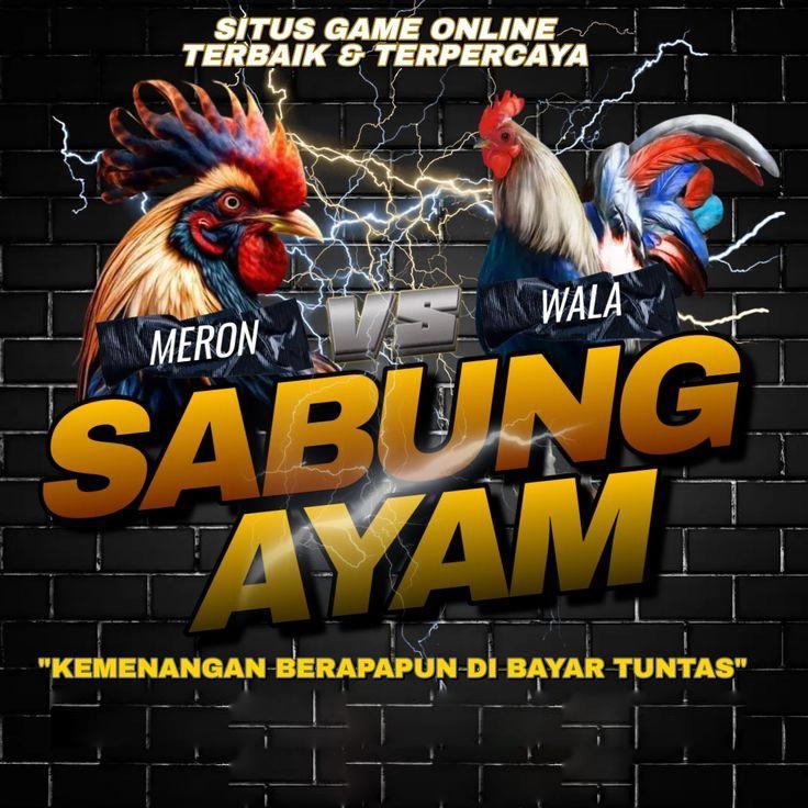 Agen Judi 24 Jam Terbaik dan Terpercaya